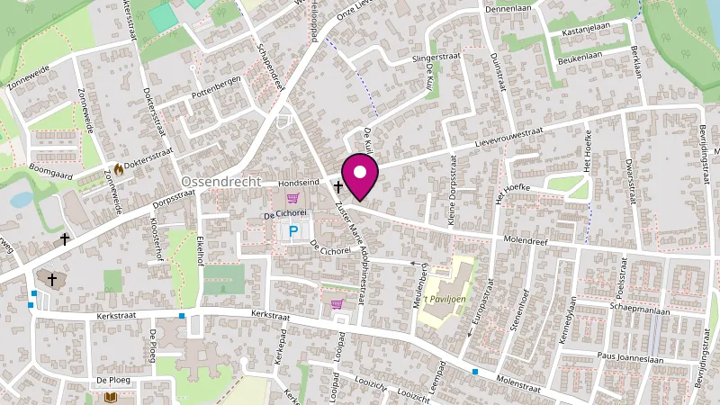 Kaart van Ossendrecht met de locatie van Dekkers Reclame aan de Molendreef